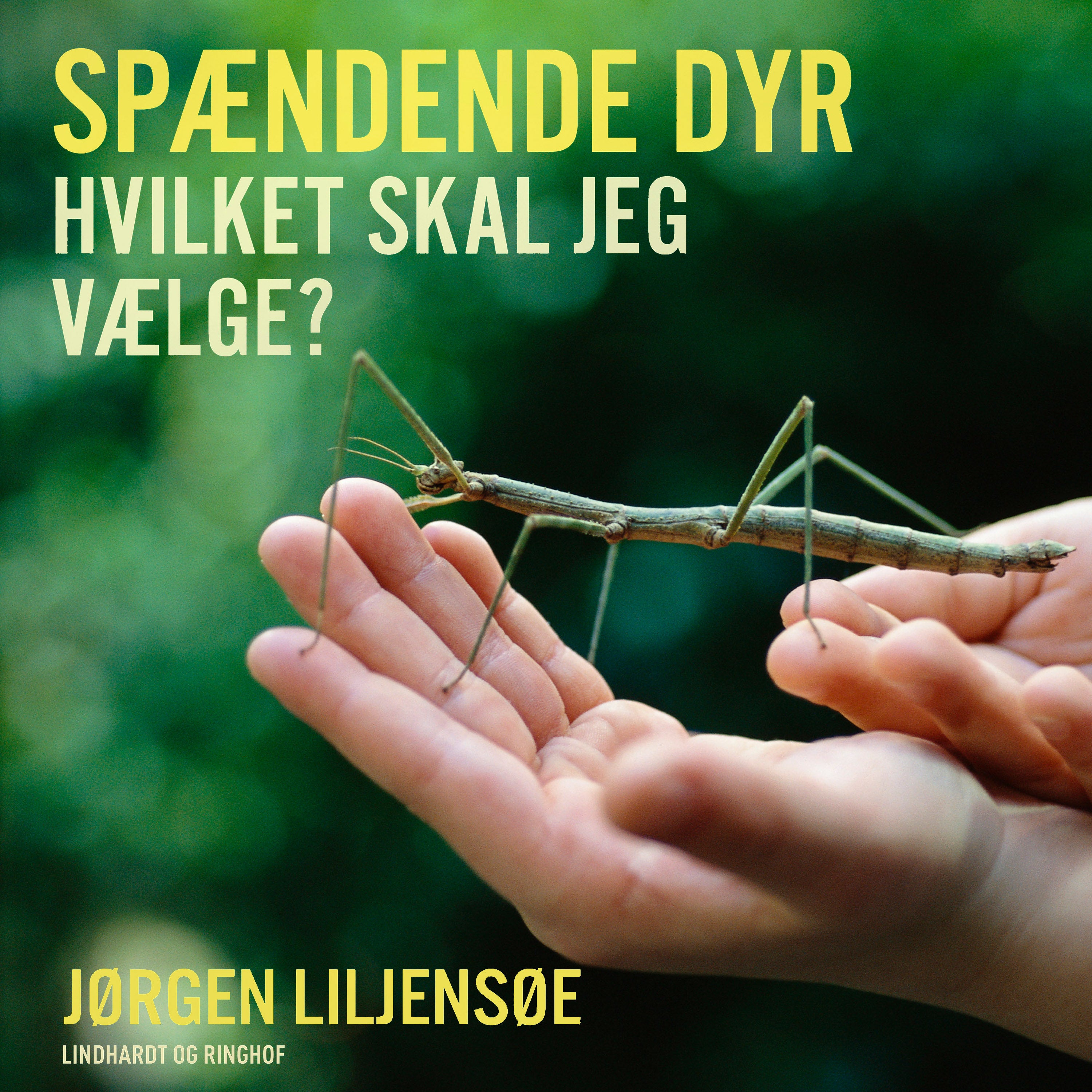 Forside billede